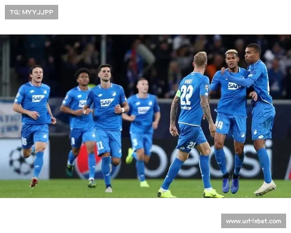 霍芬海姆0-2不敌柏林赫塔，保级形势进一步恶化